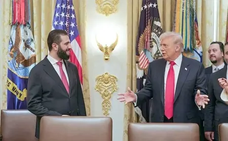 Şam’ın Koalisyon Hesabı: Beklentiler ile Gerçekler Arasında