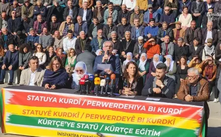 Diyarbakır’da 750 kurumdan çağrı: Kürtçe resmi dil olsun