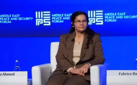 İlham Ahmed: Şam ile anlaşma var ancak adımlar ağır atılıyor