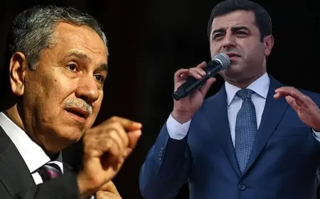 Demirtaş'tan Bülent Arınç'ın iddialarına tepki! Siyasetçi ziyaretlerini kesti