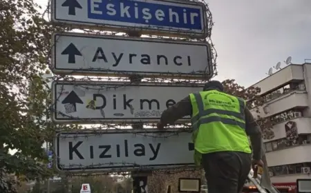 Merkezi Devletsi Apoculuk