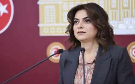 DEM Partili Koçyiğit’ten komisyonun İmralı ziyaretine ilişkin açıklama