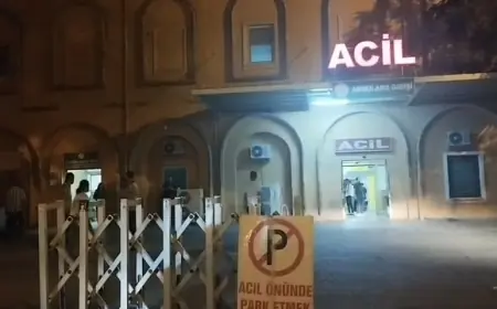 Mardin'de anne, baba ve 5 yaşındaki kızları, başlarından vurulmuş halde ölü bulundu