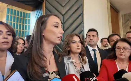 DEM Parti’den İmralı görüşmesine ilişkin açıklama