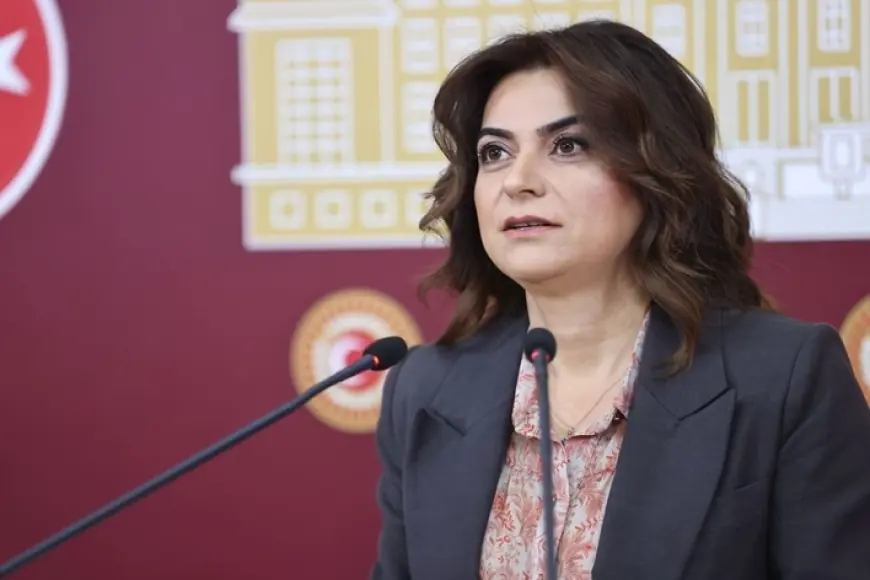 DEM Partili Koçyiğit’ten komisyonun İmralı ziyaretine ilişkin açıklama