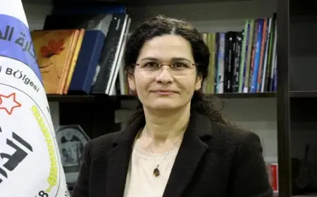 İlham Ahmed: Silah bırakma konusu salt DSG ile ilgili bir mesele değil