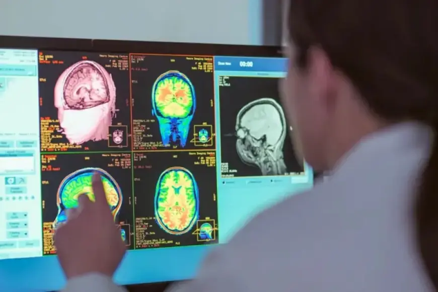 9, 32, 66, 83: Beynin gelişiminde dört kritik yaş