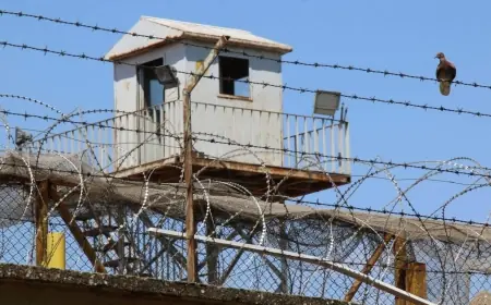 MHP'li Feti Yıldız: İlk etapta 55 bin, toplamda 115 bin kişi tahliye edilecek