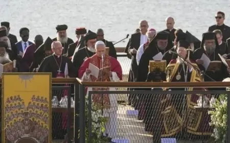 MHP'den Papa'nın ziyaretine tepki