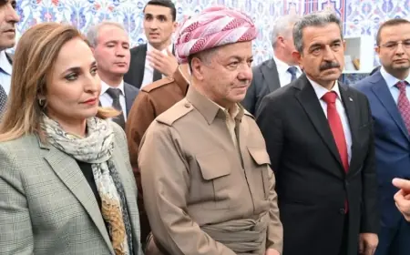 Dem Parti Sözcüsü: Başkan Mesud Barzani’nin Cizre ziyareti tarihi önemdeydi