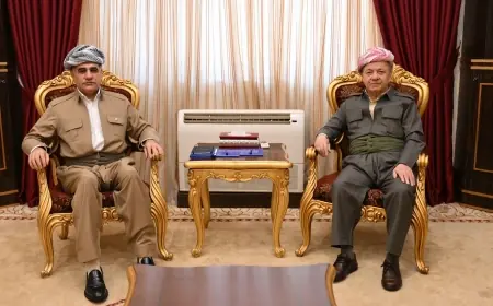 Başkan Barzani: 'Kürdistan Diasporasının çabaları ulusal bir projedir'