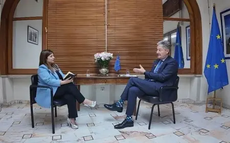 AB Suriye Temsilcisi: Mültecilerin zorla geri gönderilmesi için şartlar uygun değil