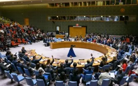 BM’den Bölgeye Diplomasi Çıkarması: Güvenlik Konseyi Heyeti Suriye’de