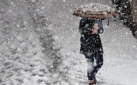 Li 8 parêzgehên Bakurê Kurdistanê berf dibare