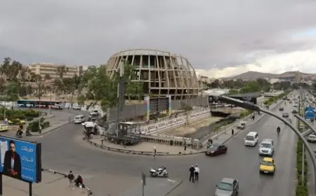 Uluslararası kriz uzmanı: Sezar Yasası ancak Şam’ın sekiz şartı yerine getirmesiyle kaldırılabilir