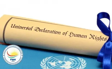 PWK: BM ve Dünya Devletleri'ni İnsan Hakları Evrensel Bildirgesi'nin Gereklerini Yerine Getirmeye Çağırıyoruz!