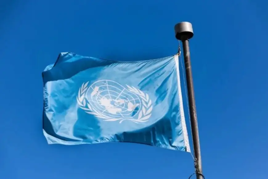 BM Raportörlerinden Türkiye’ye uyarı: 'Kürtlere yönelik süreklilik gösteren ayrımcılık iddiaları endişe verici'