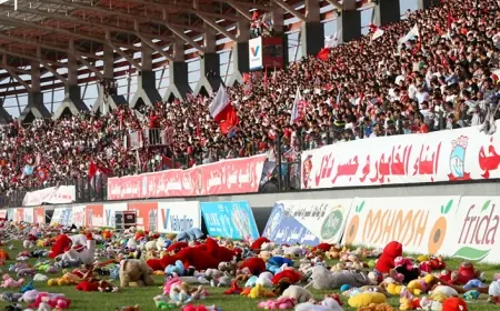 FIFA duyurdu: Dünyanın en iyi taraftarı Zaho oldu