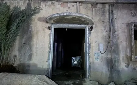 İdlib’de eski güvenlik merkezinde toplu mezar bulundu