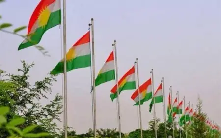 PWK: Kürdistan Bayrağı’nı sahiplenmek, tüm şehitlerimizin, halkımızın emek, mücadele ve fedakarlıklarını  sahiplenmektir