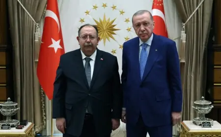 Erdoğan YSK Başkanı ile görüştü