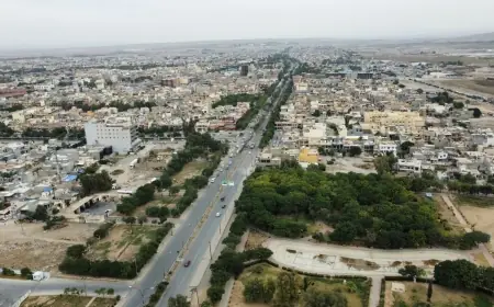 Germiyan’da arazi kavgası: 4 ölü, 2 yaralı