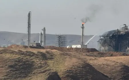 Treefa Aziz: Kürdistan’ın güvenliği Orta Doğu’da barış ve istikrarın anahtarı