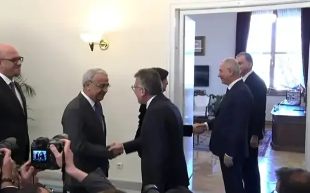 AK Parti ziyareti sonrası DEM Heyetinden ilk açıklama