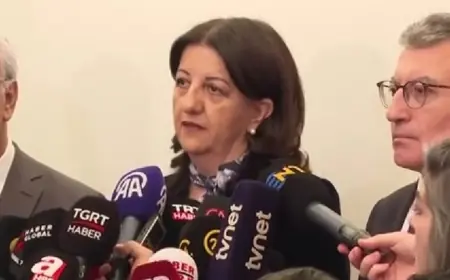 AK Parti ziyareti sonrası DEM Heyetinden ilk açıklama