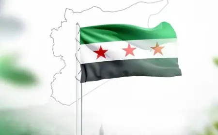 Yeni Suriye Haritası'nda Hatay ve Golan Detayı