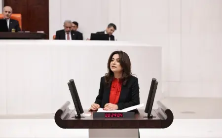 DEM Partili Koçyiğit: Çözümün adresi Meclis, aktörü Öcalan’dır