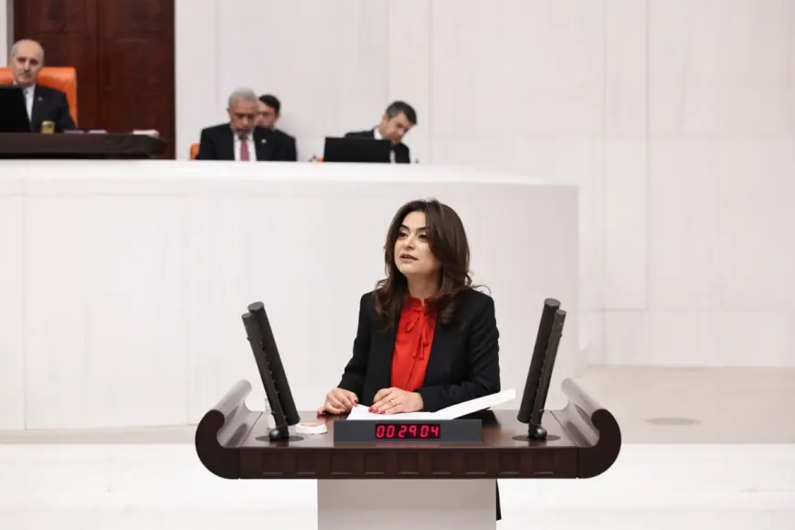 DEM Partili Koçyiğit: Çözümün adresi Meclis, aktörü Öcalan’dır