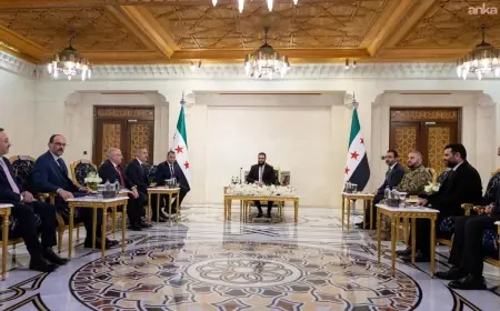 Fidan, Güler ve Kalın, Şara ile görüştü