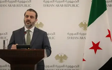 Şeybani: DSG Somut  Adım Atmadı, Oyalama Politikası İzliyor