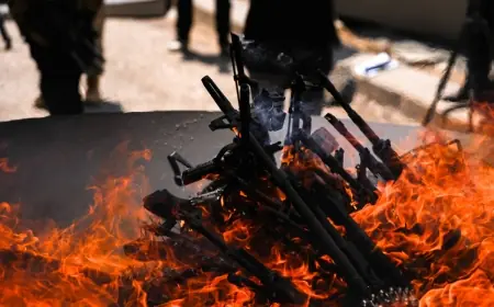 ASAL Araştırma anketi: Türkiye’de barış sürecine destek ne oranda?