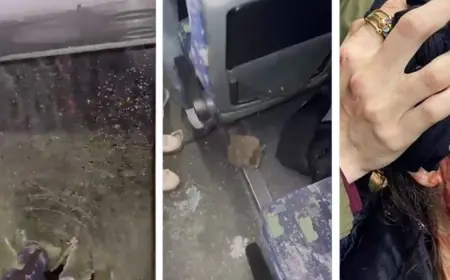 Bodrum'da Amedspor taraftarlarına saldırı: TFF ve İçişleri Bakanlığına tedbir çağrısı