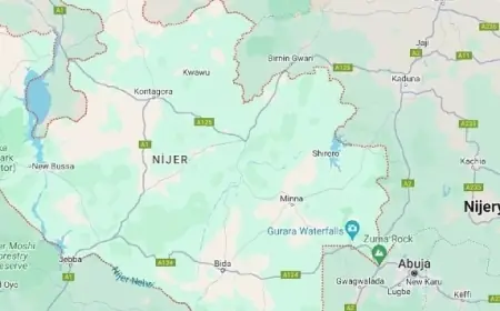 Nijer, ABD vatandaşlarının ülkeye girişini yasakladı