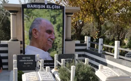 Şerefeddîn Elçi Üzerine