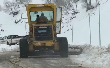 Lolan Dağları’nda kar felaketi: 21 kayıp, 2 ölü iddiası