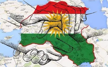 Yekitî baş e, yekitî ferze û yekitî derman e