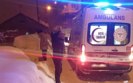 Bitlis’te Çığ Altında Kalan 3  kişi  Kurtarıldı