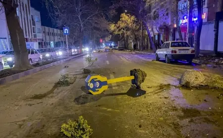 İran’da rejim korku ile zor arasında