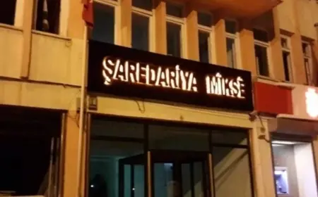 Bölge İdare Mahkemesi'nden DEM Partili belediye için kayyum iptal kararı