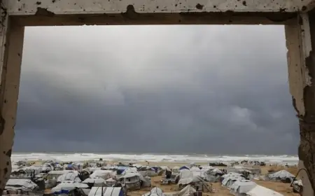 Gazze Barış Kurulu üyeleri belli oldu