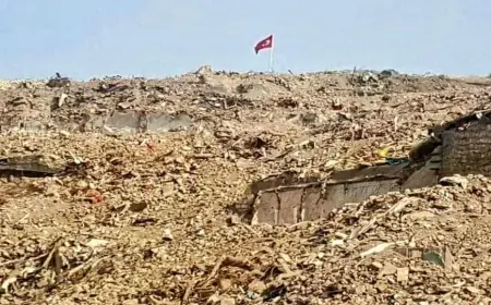 Direnmeli, Ama Nasıl?