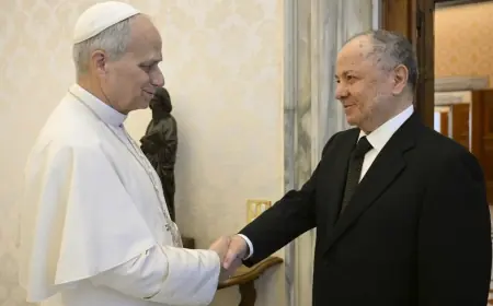 Başkan Barzani: Papa’dan Rojava’daki Kürtlere destek talep ettik