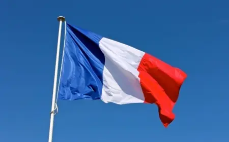 Fransa: DSG’nin Entegrasyonu Şart