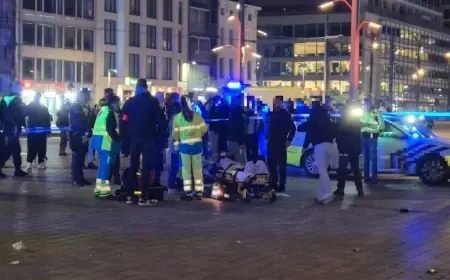 Belçika’da Rojava'ya destek eylemine bıçaklı saldırı: 2'si ağır, 6 yaralı