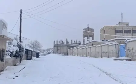 Kürt Kızılayı: Kobani'de 4 çocuk soğuktan hayatını kaybetti