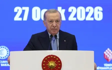 Erdoğan’dan DSG açıklaması